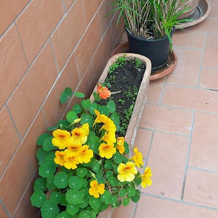 Vient E Mare Apartment Torre Annunziata Exterior photo